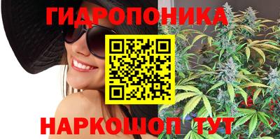 2c-b Будённовск