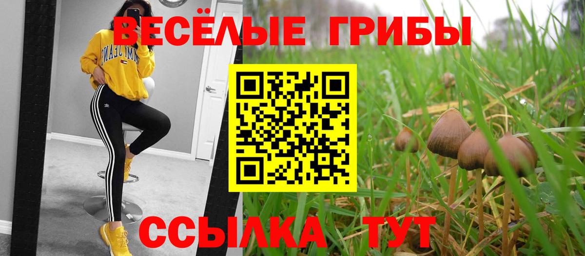 Партизанск  Галлюциногенные грибы Psilocybine cubensis  Вход с VPN  Псилоцибиновые грибы Magic Shrooms 